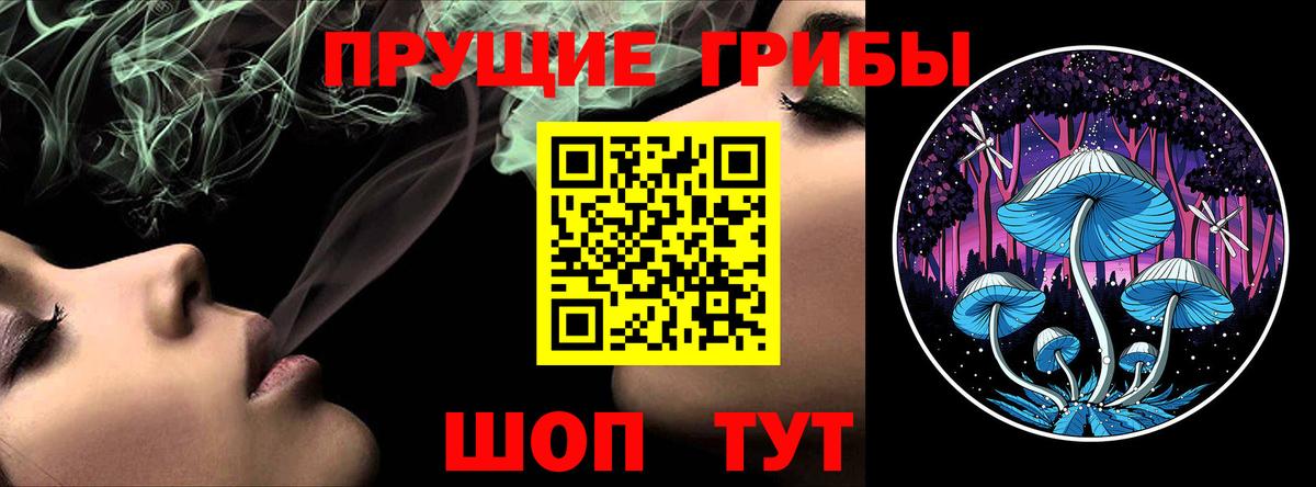 Заводоуковск  Галлюциногенные грибы GOLDEN TEACHER  Вход с VPN 