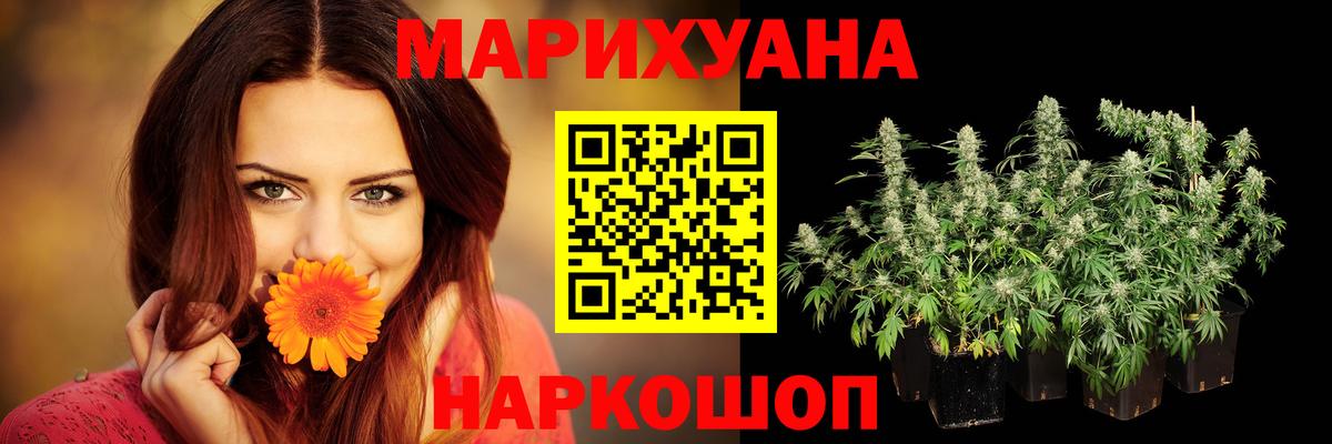 Канабис марихуана  Канабис план  Вход с VPN  Конопля планчик  Заводоуковск 