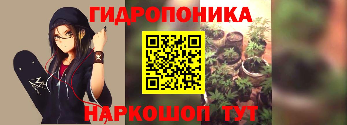 Бошки Шишки сатива Заводоуковск
